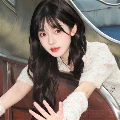 惑星公主蜥蜴骑士