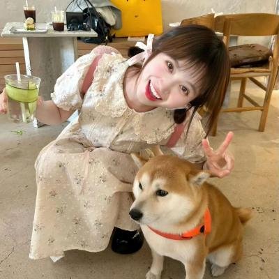 玩具掌门人